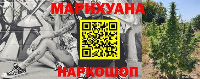прущие крисы Апшеронск