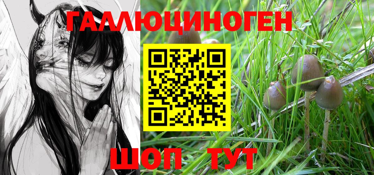 Псилоцибиновые грибы прущие грибы  Псилоцибиновые грибы Magic Shrooms  Вход с VPN  Артёмовский 